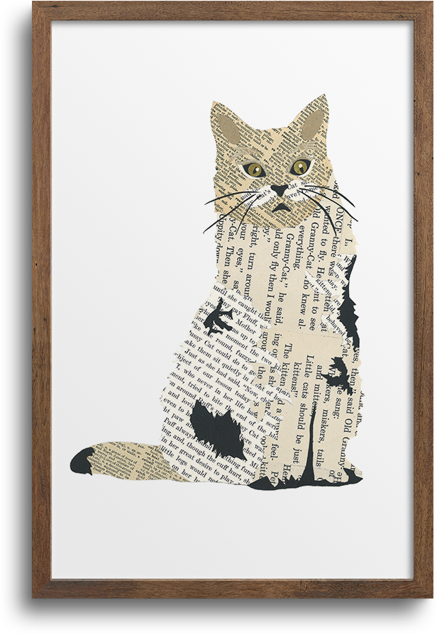 Pets & Animals