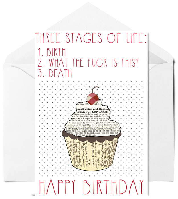 Three Stages Of Life - Funny Birthday Card